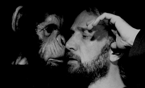 2b. Orações e Delírios_ Marcos Verza . Crédito foto Artur Alexandre